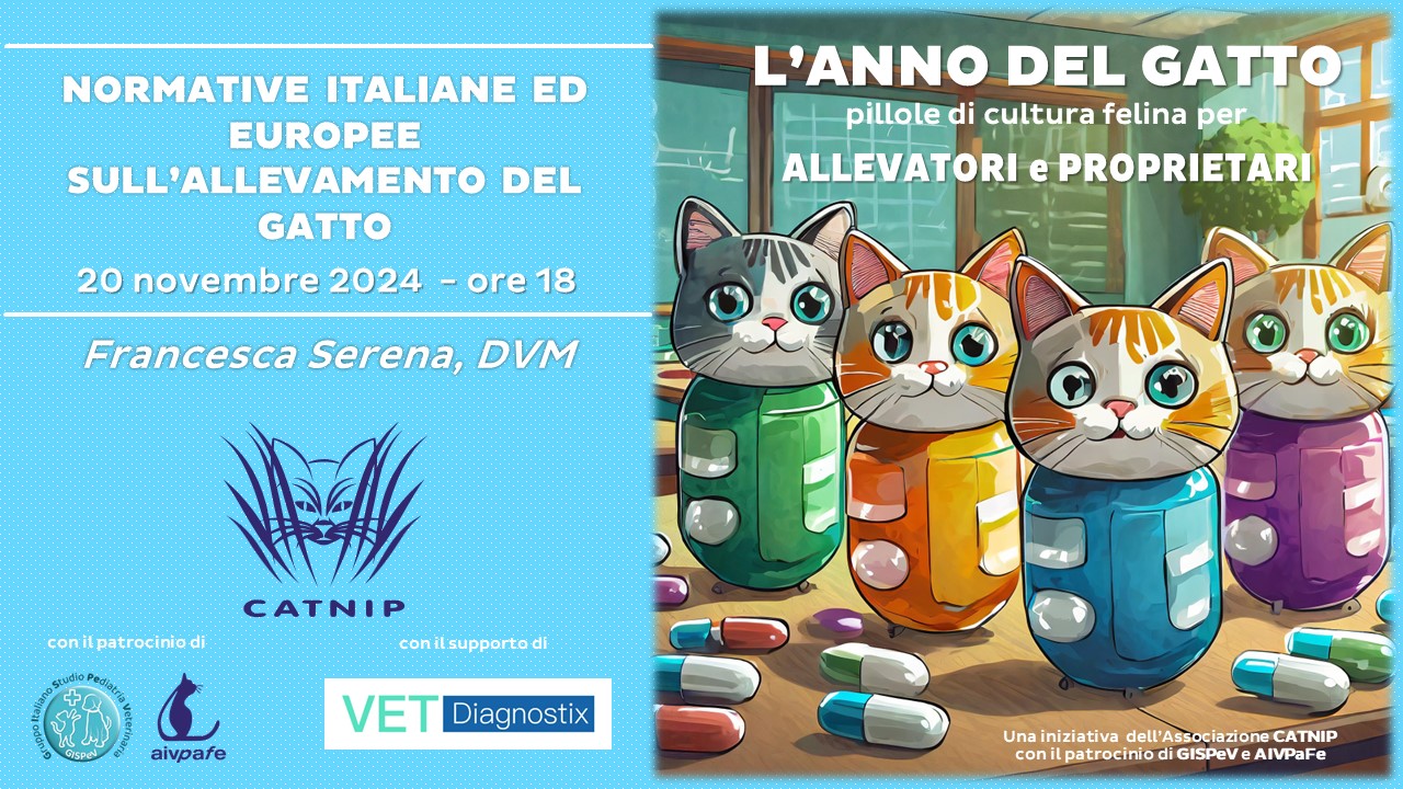 Anno del gatto - 20 Novembre 2024