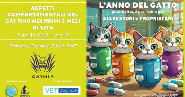 anno-del-gatto-2025-aprile