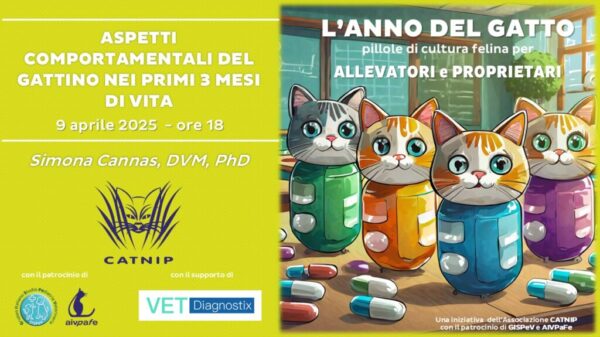 anno-del-gatto-2025-aprile