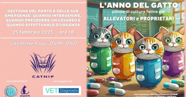 anno-del-gatto-2025-febbraio