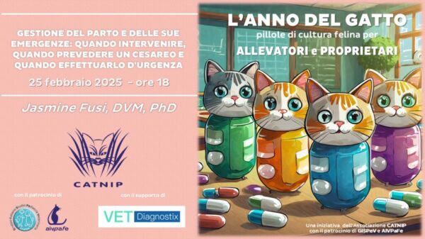 anno-del-gatto-2025-febbraio