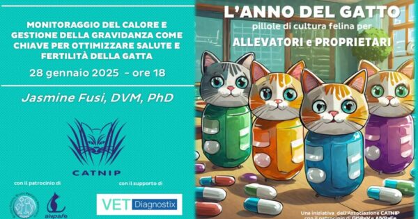 anno-del-gatto-2025-gennaio