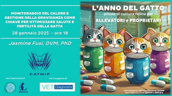 anno-del-gatto-2025-gennaio