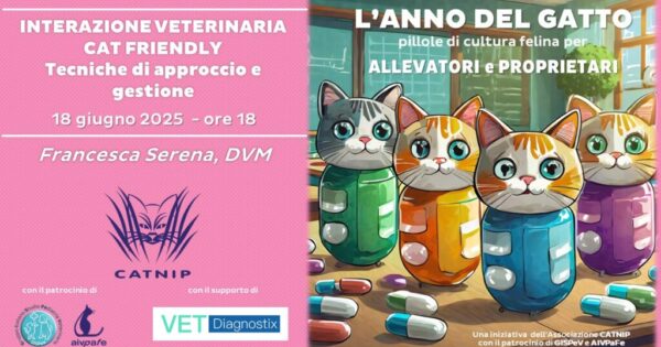 anno-del-gatto-2025-giugno