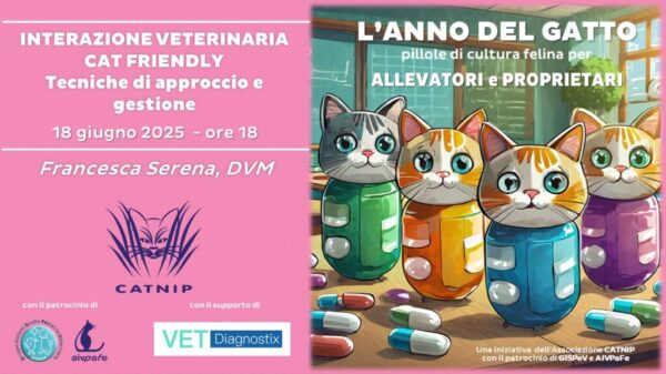 anno-del-gatto-2025-giugno