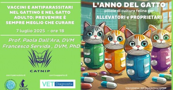 anno-del-gatto-2025-luglio