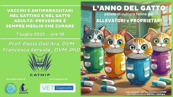 anno-del-gatto-2025-luglio