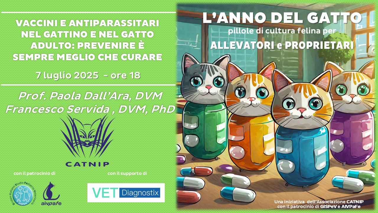 anno-del-gatto-2025-luglio