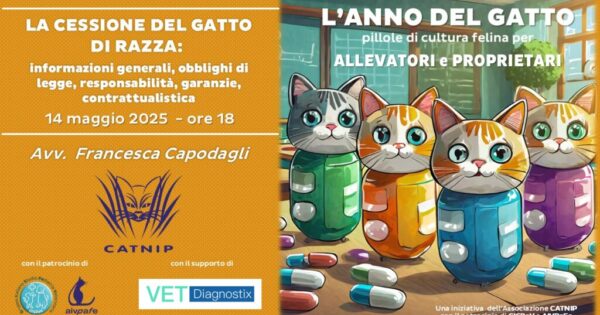 anno-del-gatto-2025-maggio