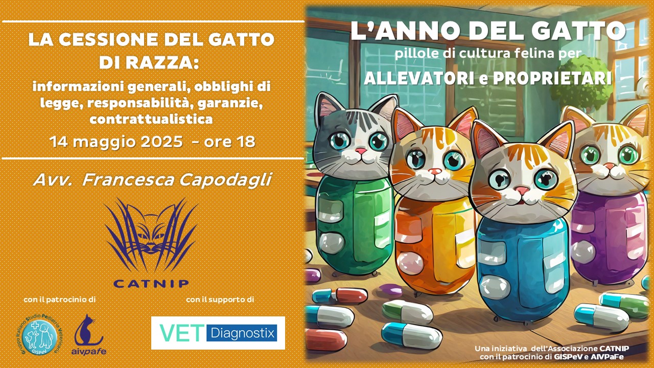 anno-del-gatto-2025-maggio