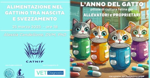 anno-del-gatto-2025-marzo