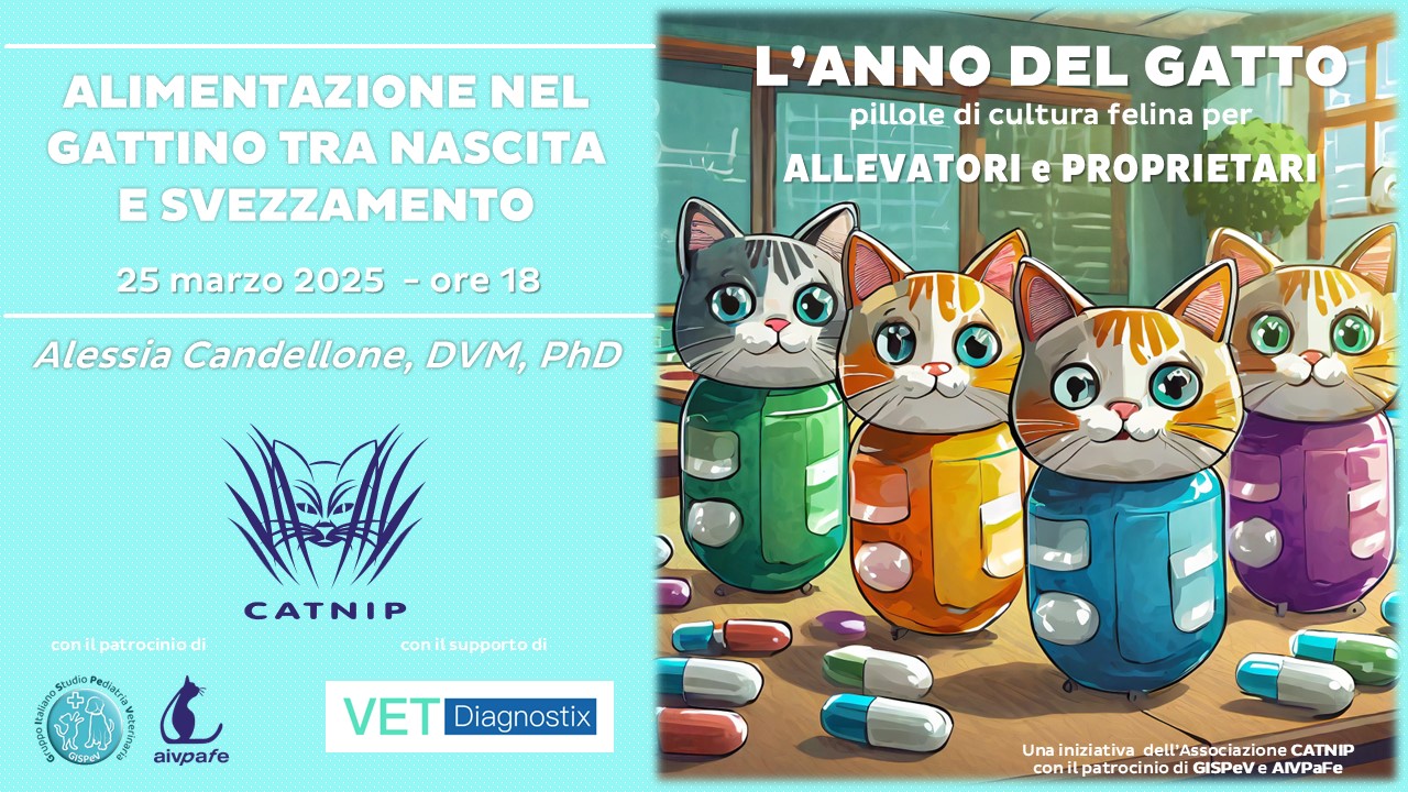 anno-del-gatto-2025-marzo