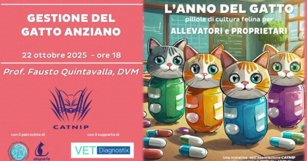 anno-del-gatto-2025-ottobre