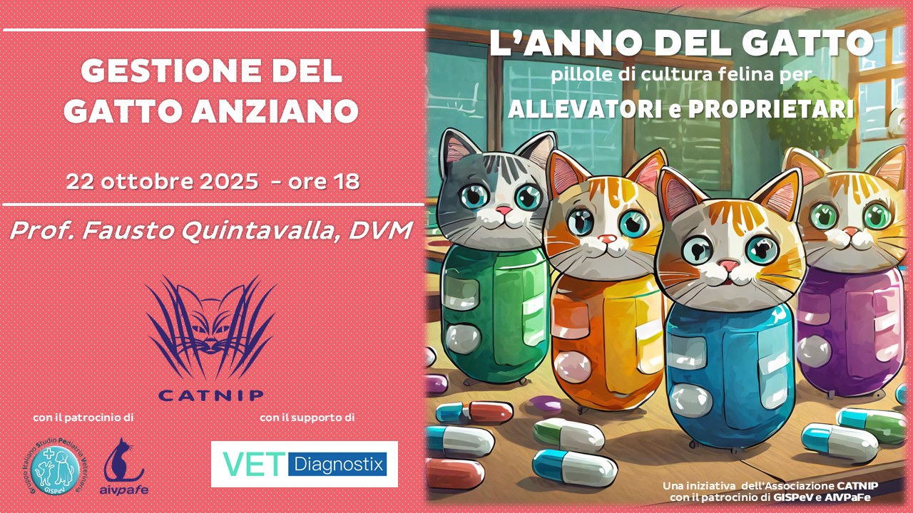 anno-del-gatto-2025-ottobre