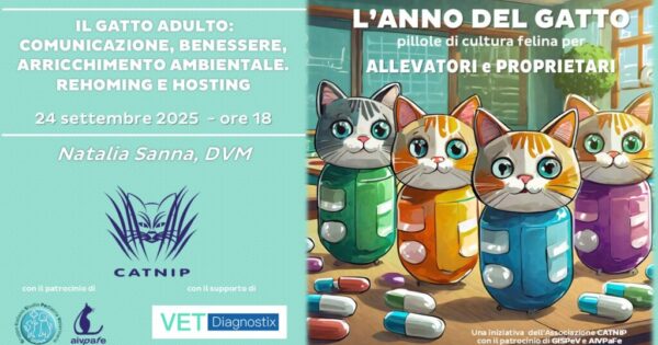 anno-del-gatto-2025-settembre