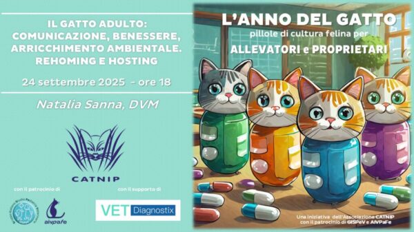 anno-del-gatto-2025-settembre