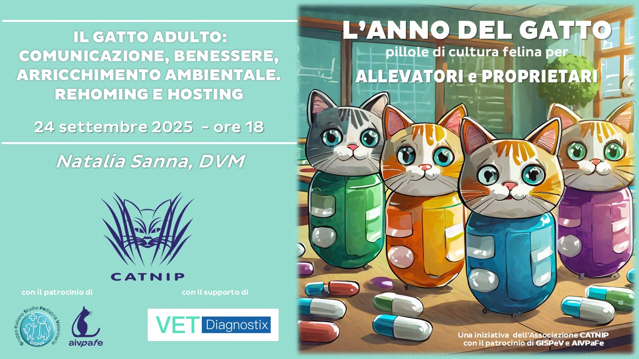 anno-del-gatto-2025-settembre