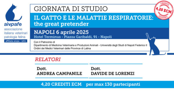 AIVPAFE Programma Napoli 2025