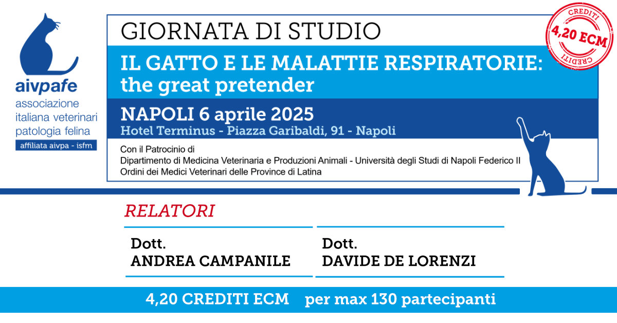 AIVPAFE Programma Napoli 2025