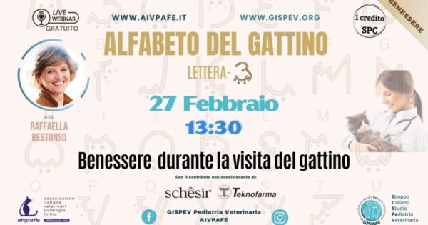 alfabeto-del-gattino-2025-lettera-B-1024x577