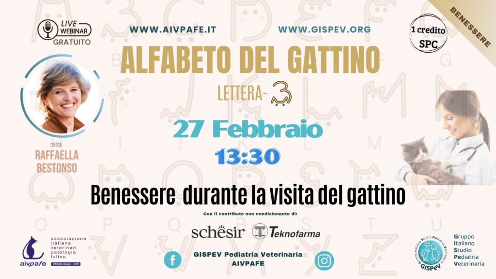 alfabeto-del-gattino-2025-lettera-B-1024x577