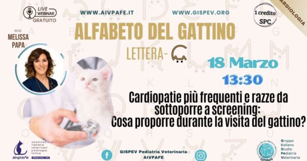 alfabeto-del-gattino-2025-lettera-C-1024x577