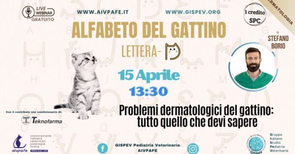 alfabeto-del-gattino-2025-lettera-D-1024x577