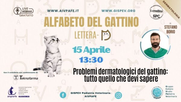 alfabeto-del-gattino-2025-lettera-D-1024x577