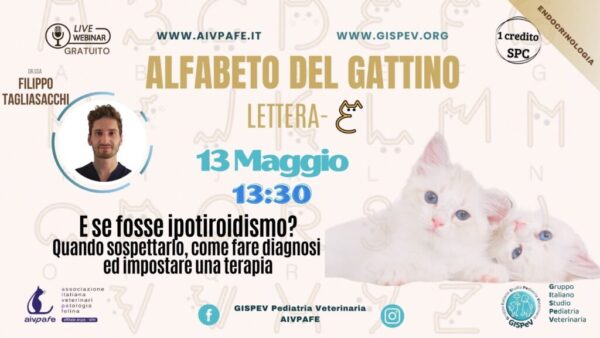 alfabeto-del-gattino-2025-lettera-E-1024x577