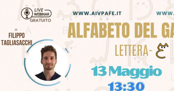 ALFABETO GATTINO_COPERTINA FB - lettera E