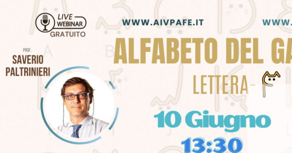 ALFABETO GATTINO_COPERTINA FB - lettera F