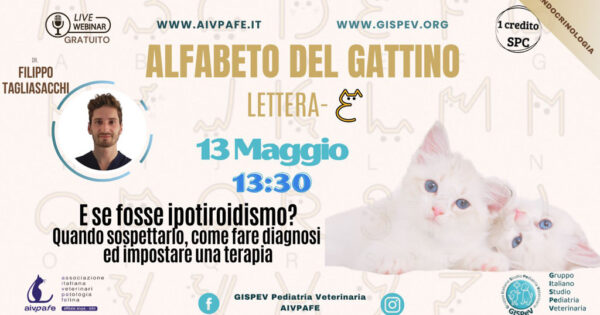 ALFABETO GATTINO_COPERTINA FB - lettera E