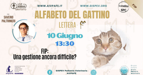 ALFABETO GATTINO_COPERTINA FB - lettera F